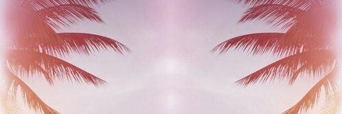 tabeershaikh's profile banner image