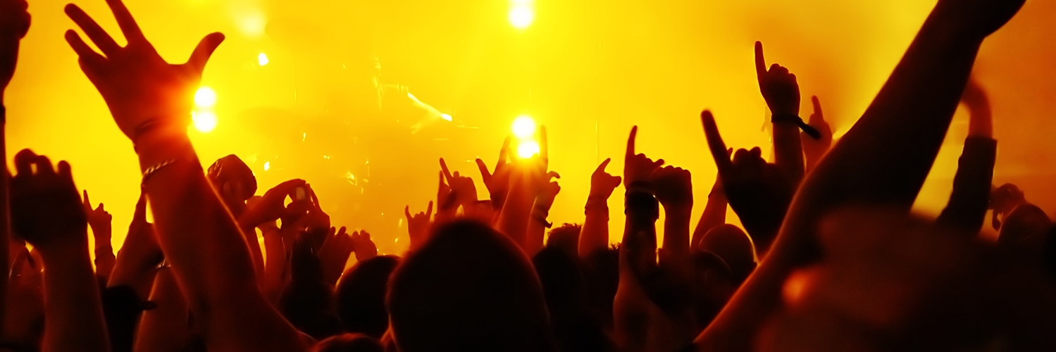 festivalstore's profile banner image