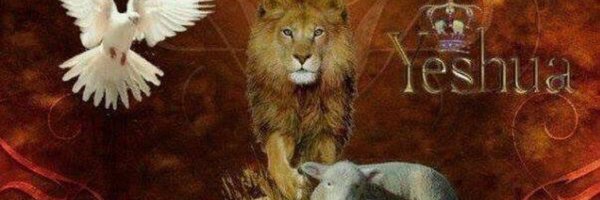 rorlolson Profile Banner