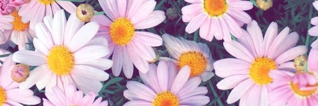 ximenatejadac's profile banner image