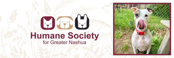 TheHSFN Profile Banner
