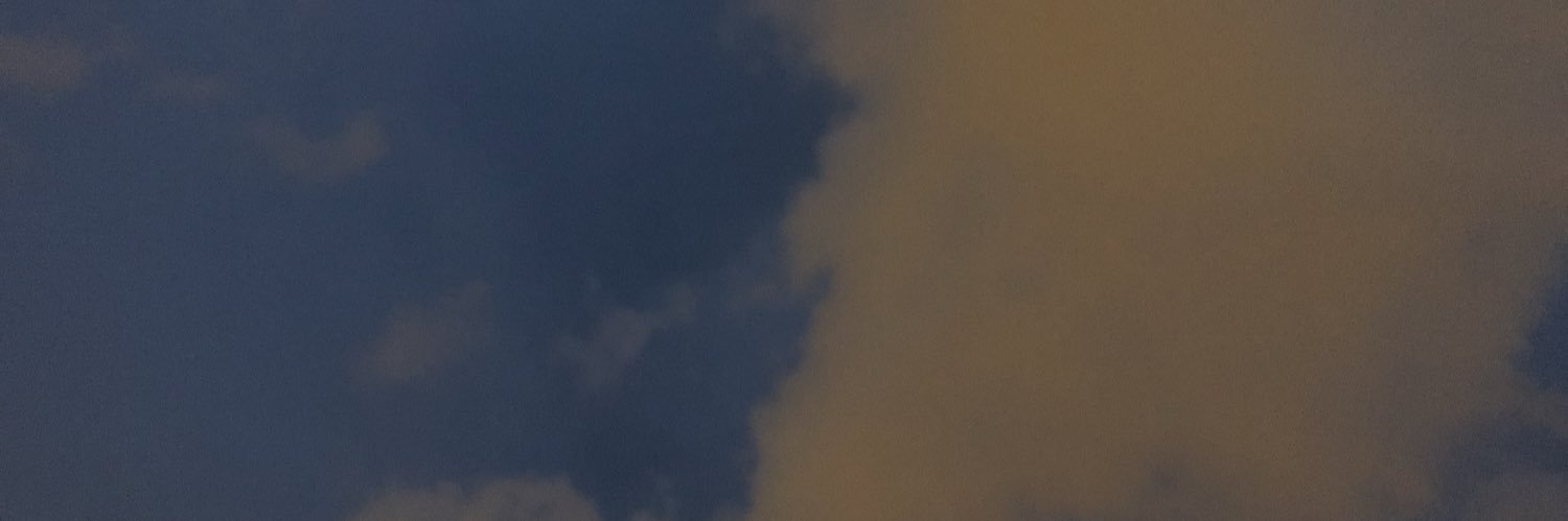 neckidiot's profile banner image
