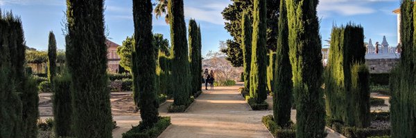 _ngt__ Profile Banner