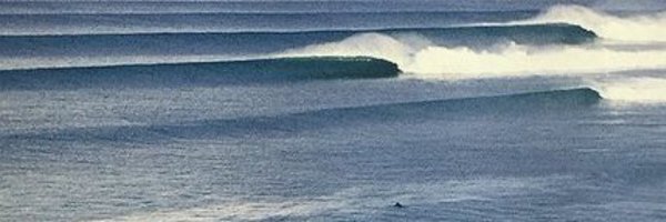 numaausaumon Profile Banner