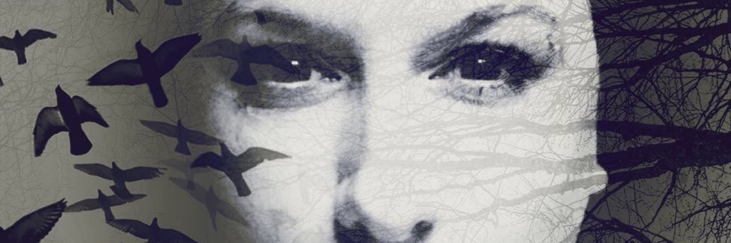 Snowflakes31's profile banner image