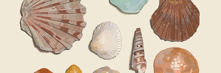 Lizaaardd's profile banner image