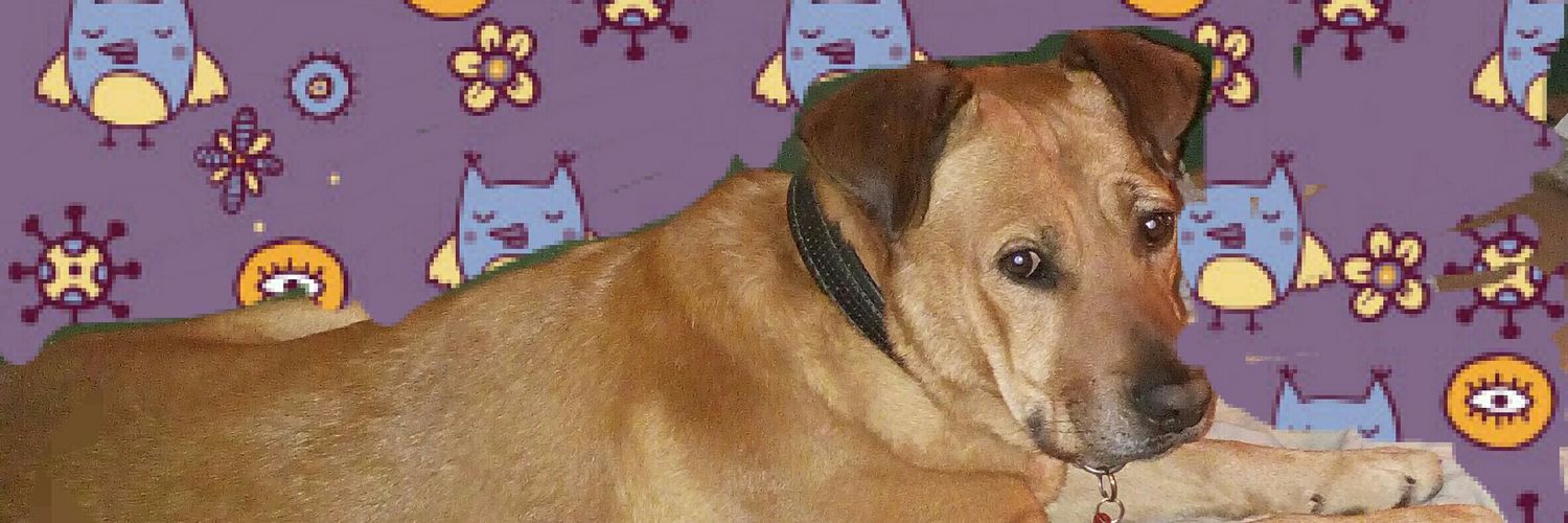 lamastorpe's profile banner image