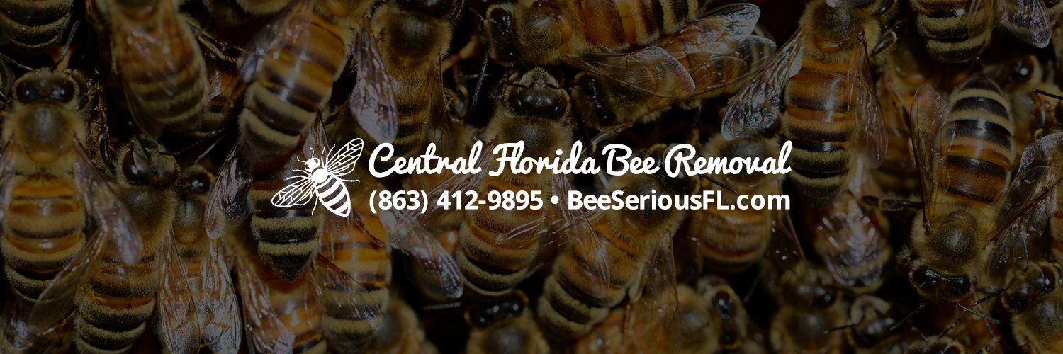 BeeSeriousFL's profile banner image