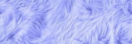 Carousssel's profile banner image