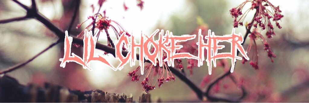 LilChokeHer banner