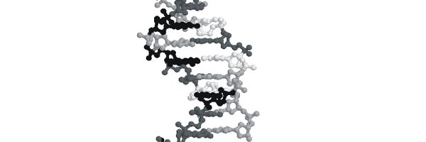 GenesOfEve Profile Banner