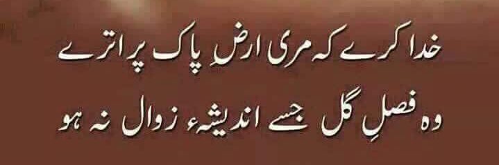 Abid Qaiyum Suleri's banner