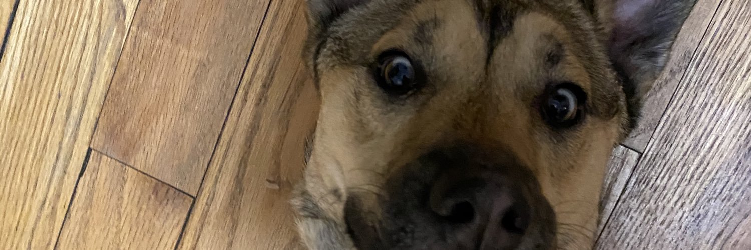 VictoriaMilller's profile banner image