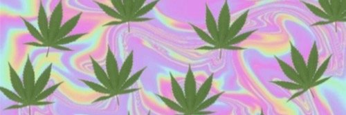 bobabitch's profile banner image