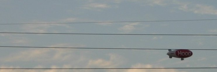 cara giaimo banner
