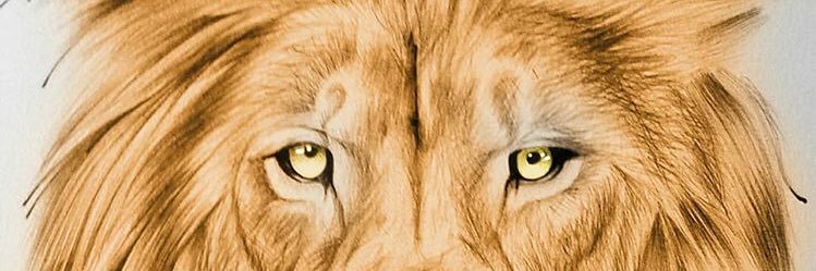PierreNDIONE's profile banner image