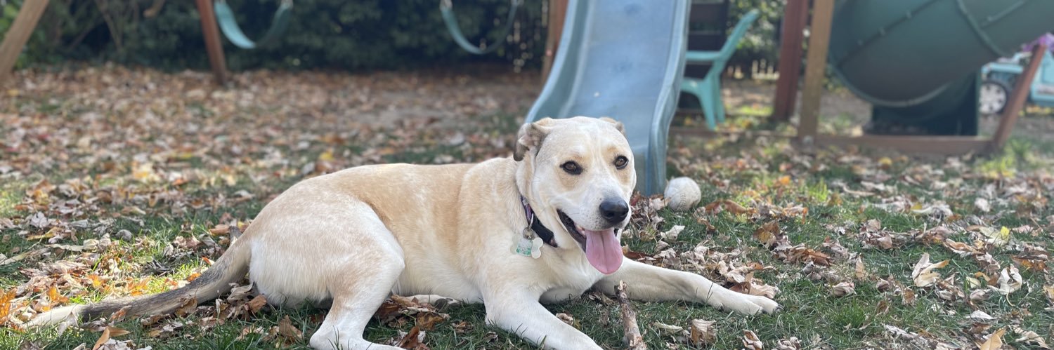 Ryan O'Connell banner