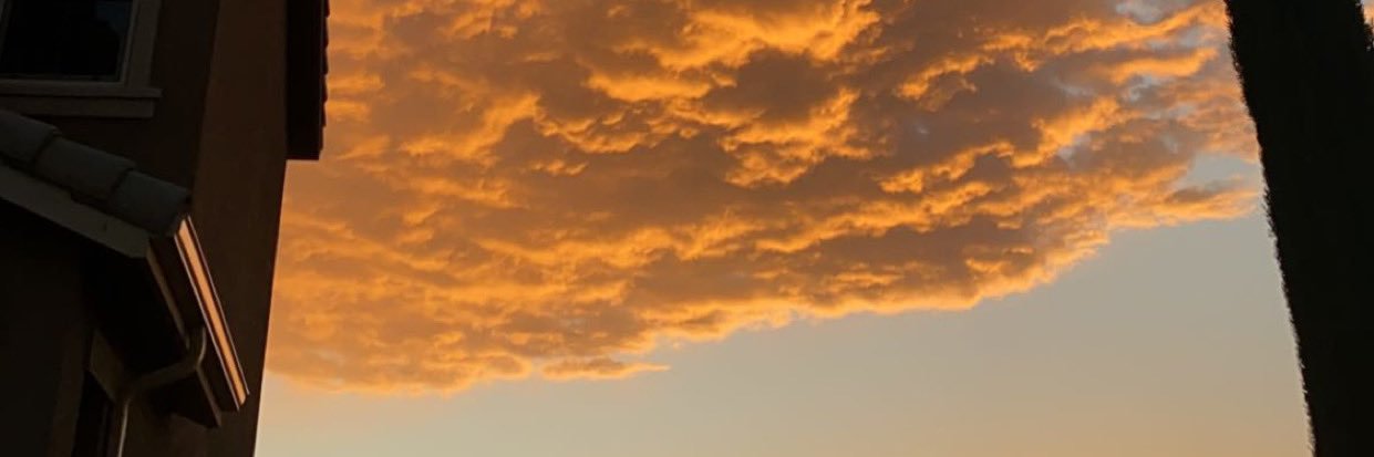 WreckingRoy's profile banner image