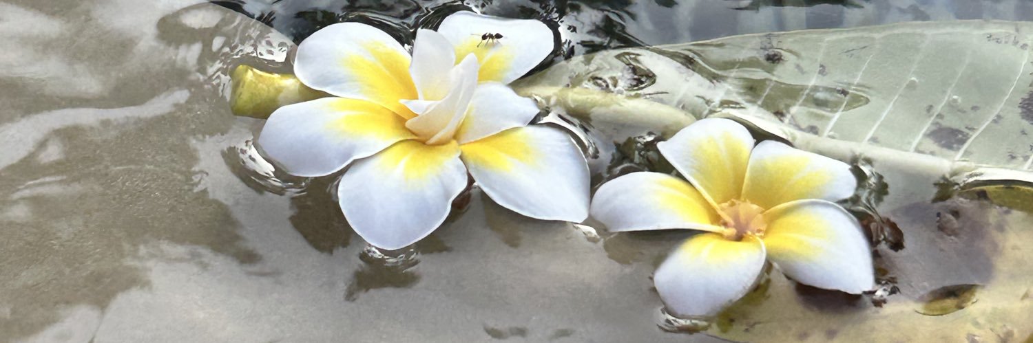 🌈🦔桜川 楓香＠国境なきうさもふ団団長 banner