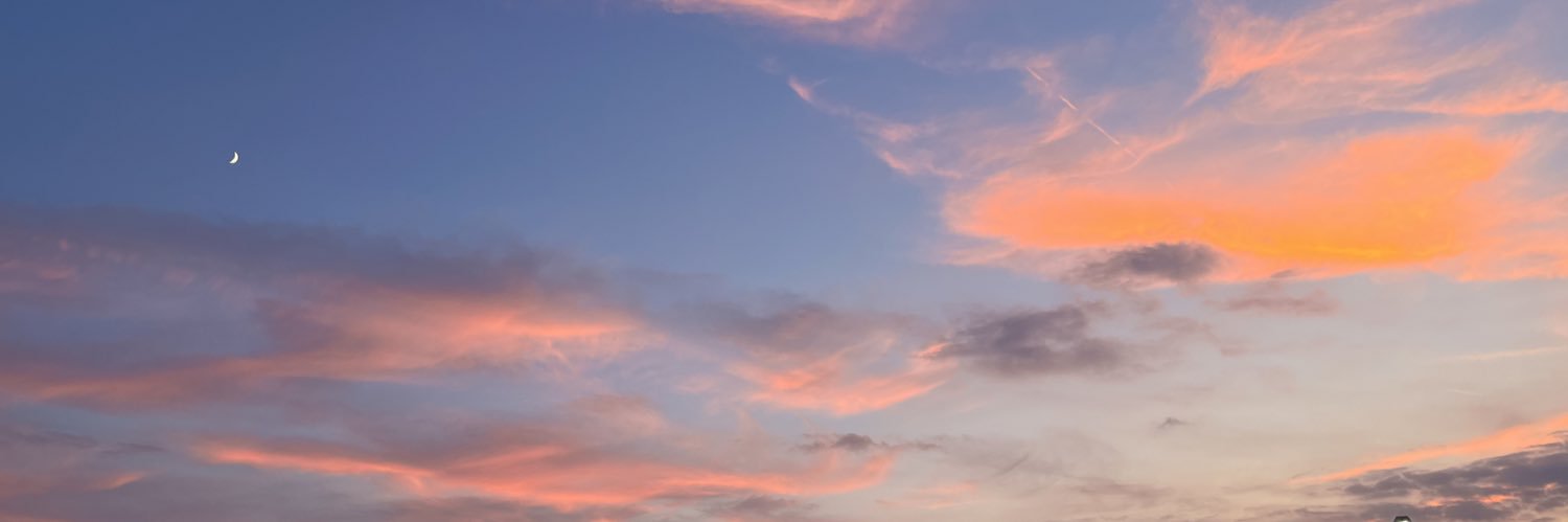 CatalinaMorant's profile banner image