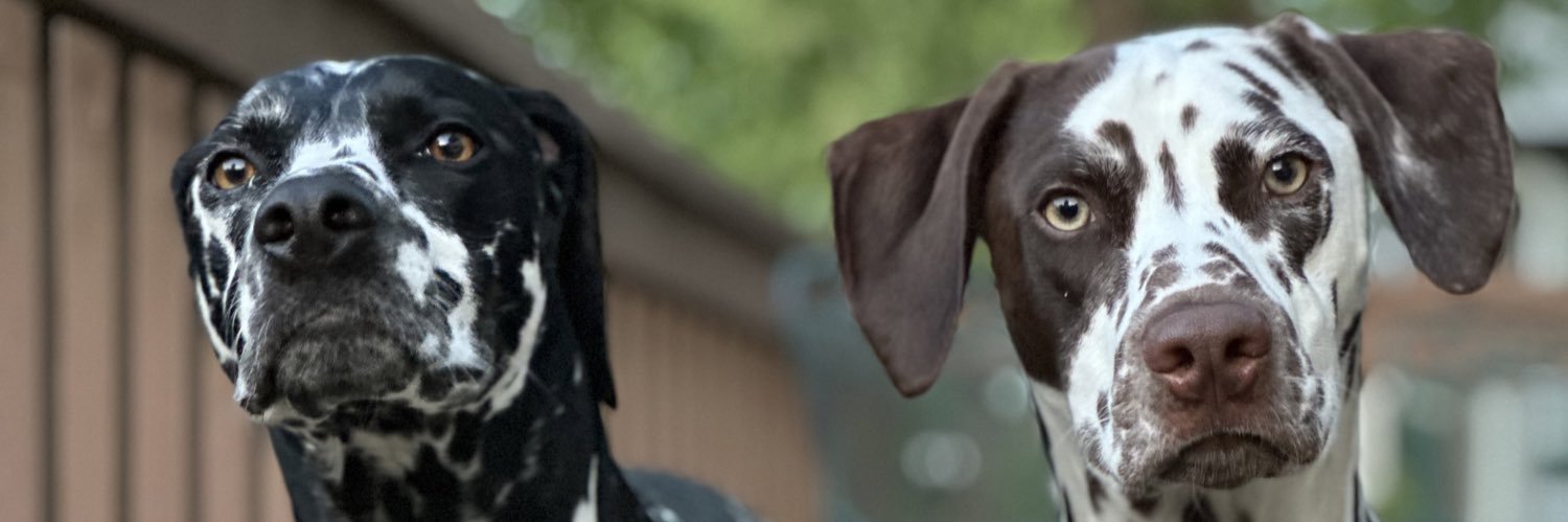emginder's profile banner image