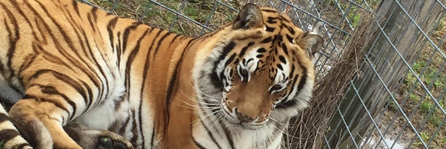 ben vonrusten banner