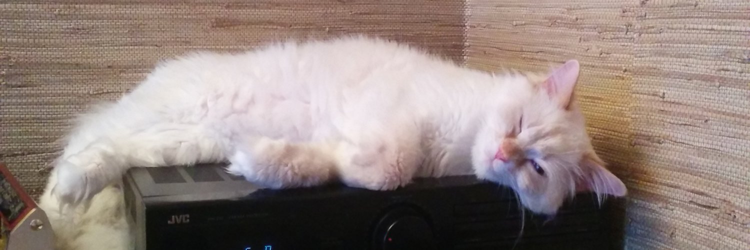 Chipshotz1's profile banner image