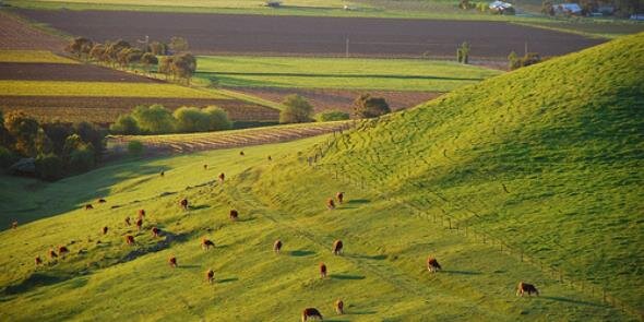 BarossaYiAg's profile banner image
