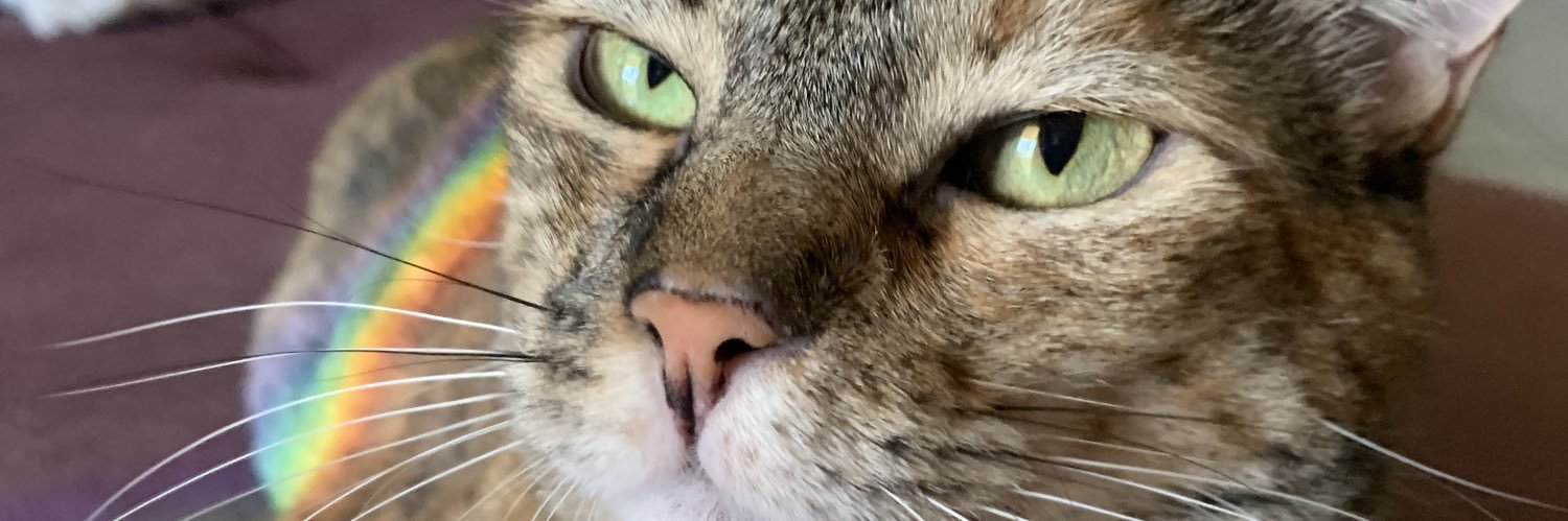 lettzwc's profile banner image