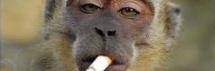 McConkey Farms banner