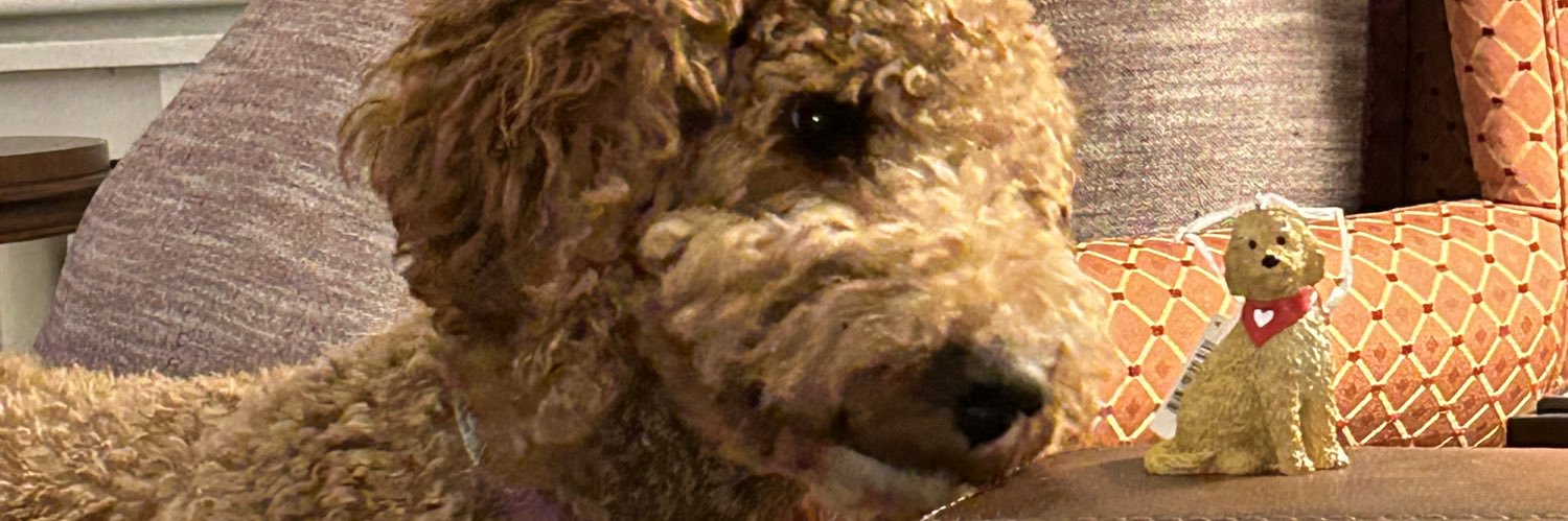 PostMasterGen22's profile banner image
