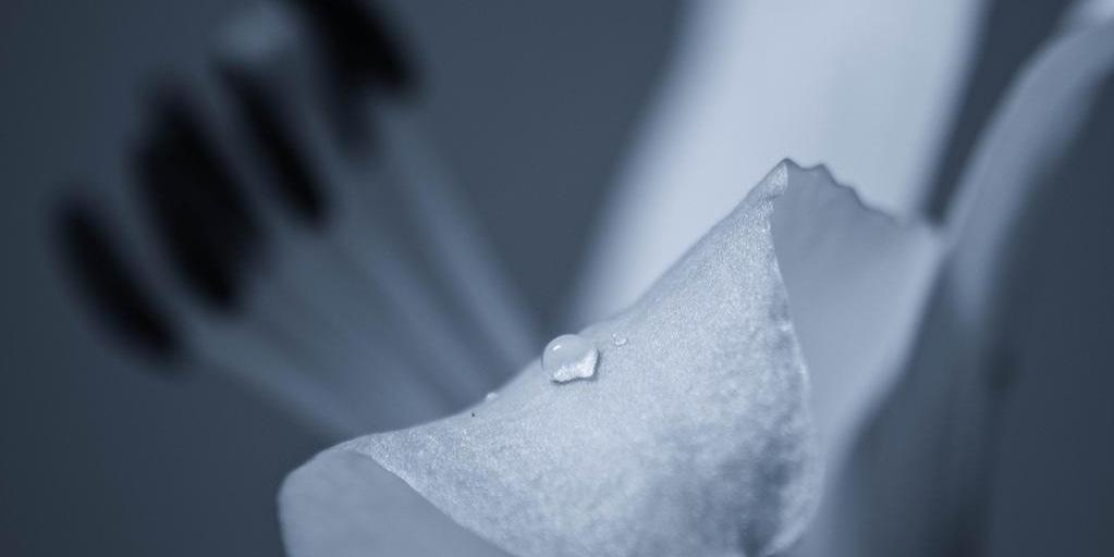 7nooon_11nn's profile banner image