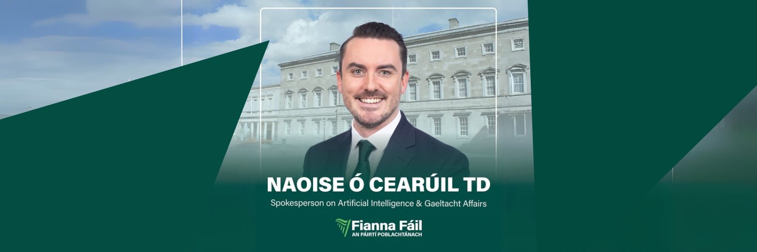 Naoise Ó Cearúil TD banner