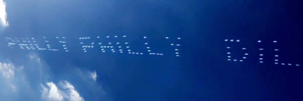 collin goodman banner