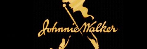 boipelokea's profile banner image