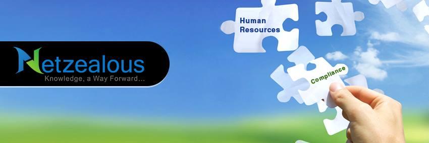 NetZealousLLC's profile banner image