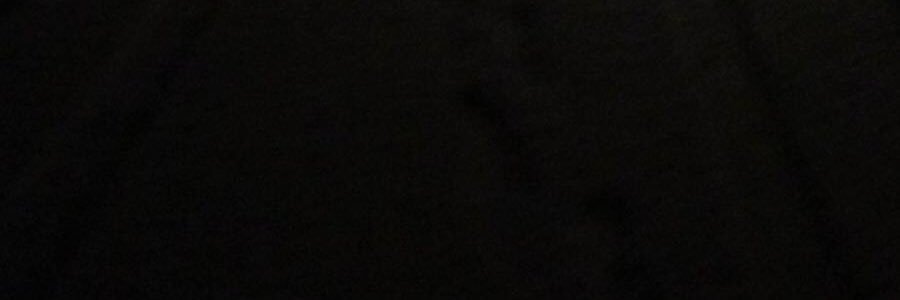 anthony huguenin banner