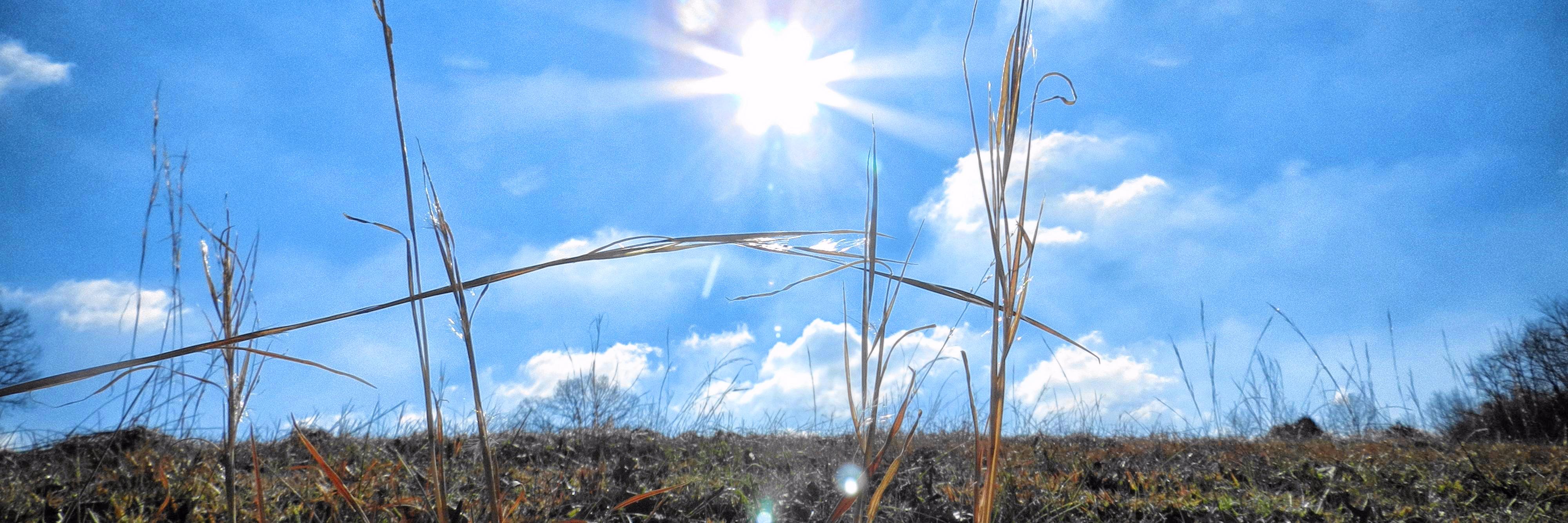 IL Solar Energy/Education Assoc banner