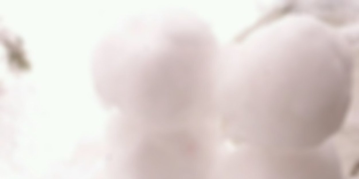 ____Hkt's profile banner image