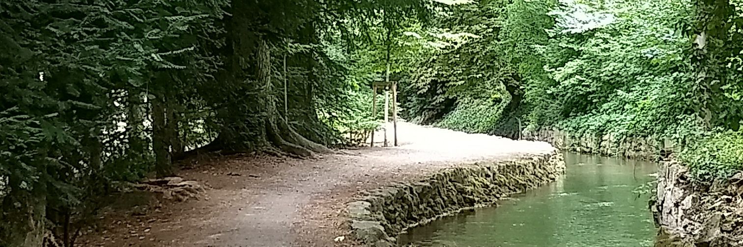 SarkastischMe's profile banner image