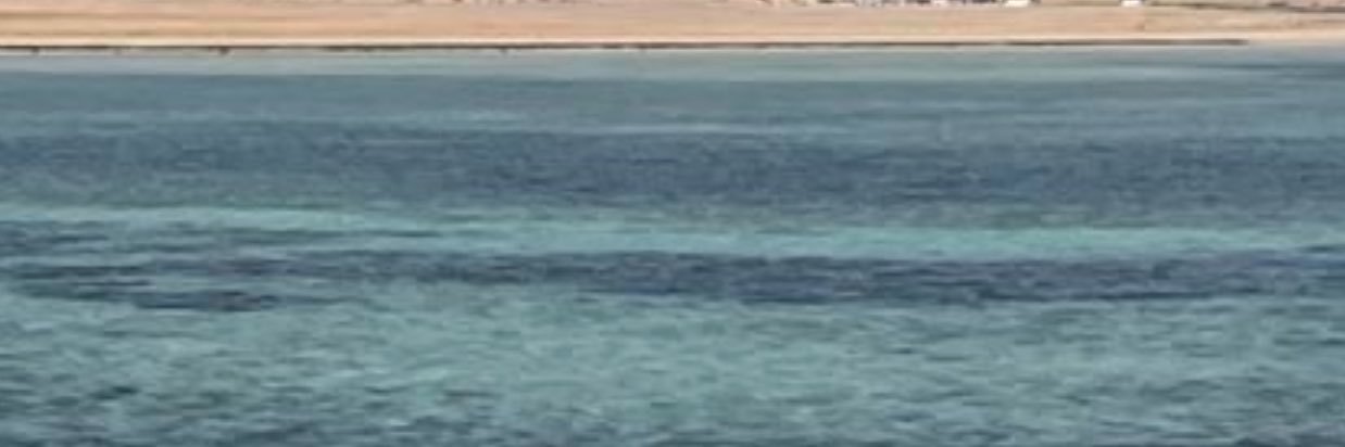 Simonetta Vezzoso banner