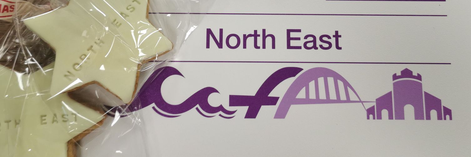 Bronwen Elphick banner