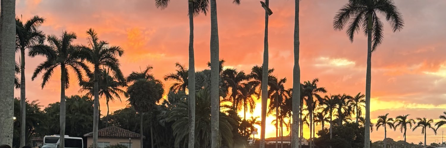 Danny deTampa 🇺🇸 banner