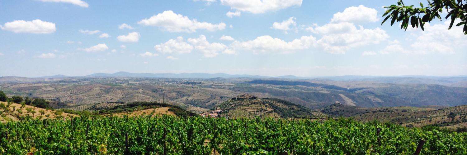 quadruswines's profile banner image