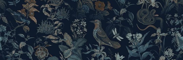 Invisa_Bitch's profile banner image