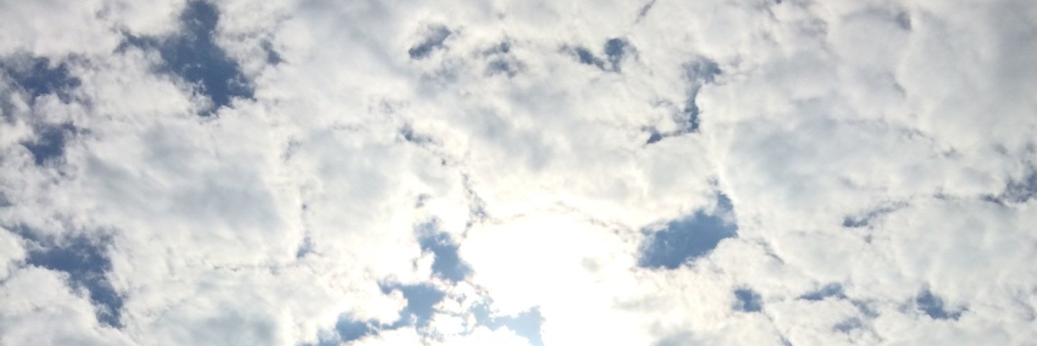 carlasureda's profile banner image