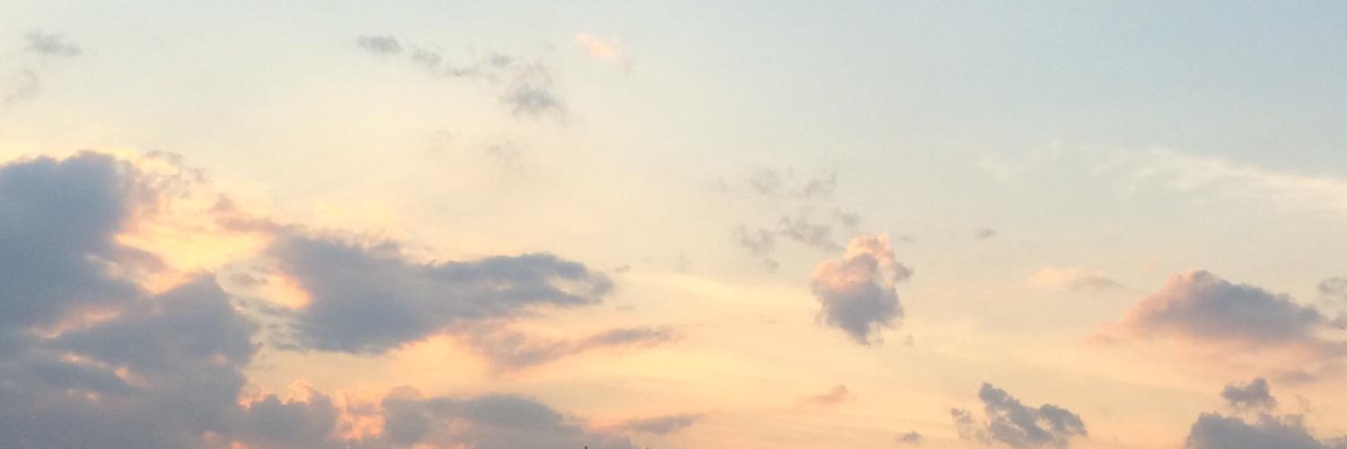 avpparel's profile banner image