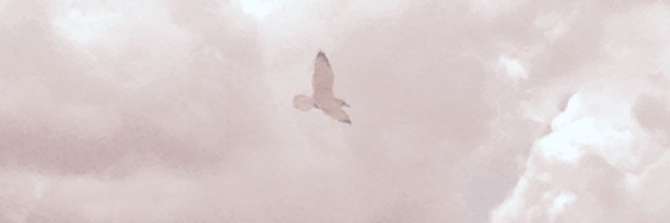 MaureenErin's profile banner image