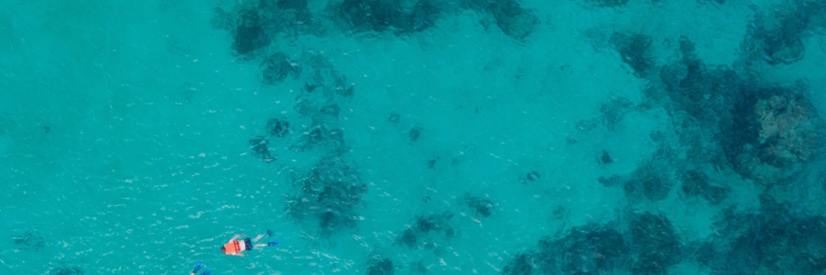 RyanHamer's profile banner image