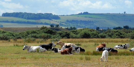 Greenham Parish  banner